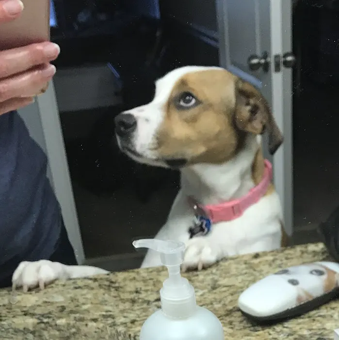 Starkey Ranch Animal Hospital Picture 6