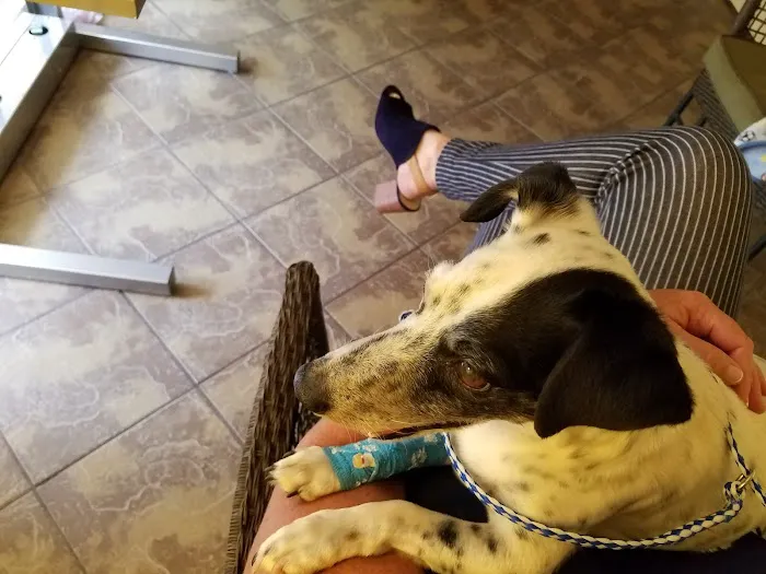 Starkey Ranch Animal Hospital Picture 9