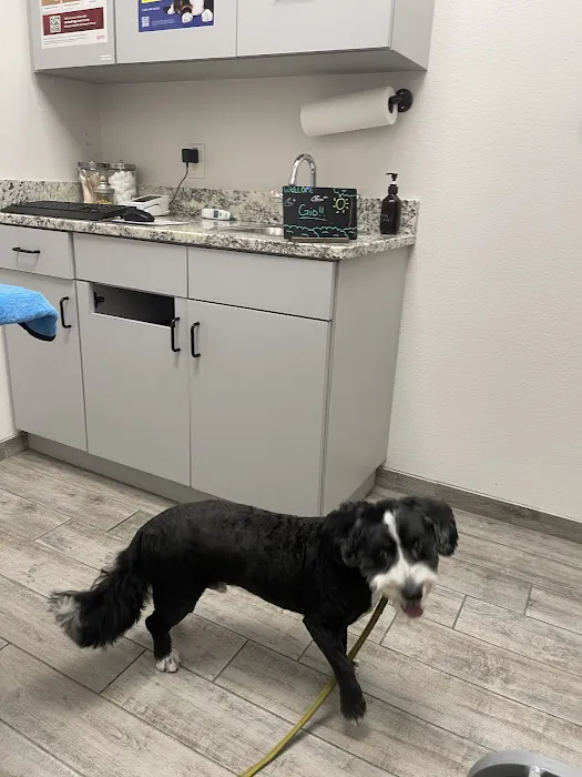 Good Shepherd Pet Hospital Picture 2