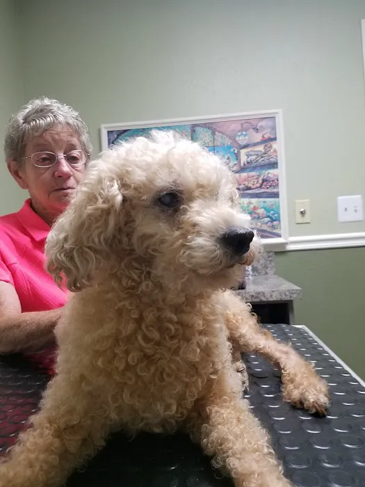 Countryside Animal Hospital Picture 1