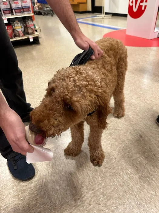 PetSmart Veterinary Services - Wesley Chapel (New Tampa) Picture 5