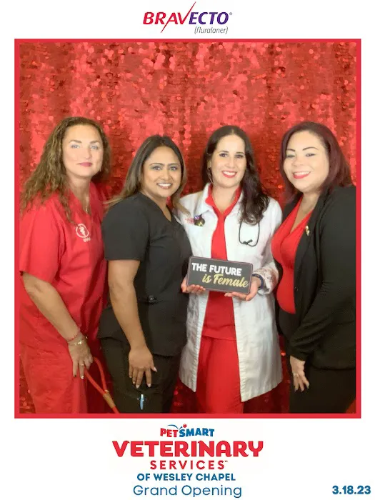 PetSmart Veterinary Services - Wesley Chapel (New Tampa) Picture 10