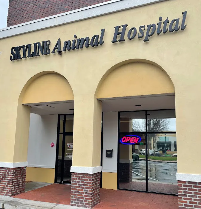 SKYLINE Animal Hospital Picture 3