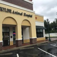 SKYLINE Animal Hospital ico