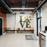 GoodVets Wesley Chapel ico
