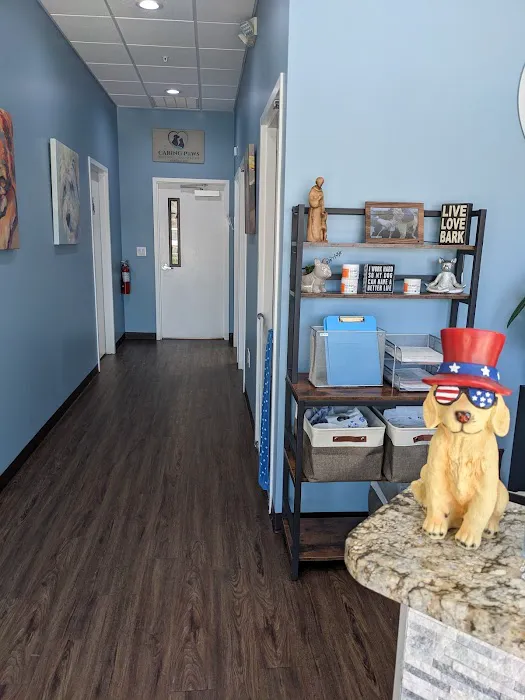 Caring Paws Animal Hospital Picture 3