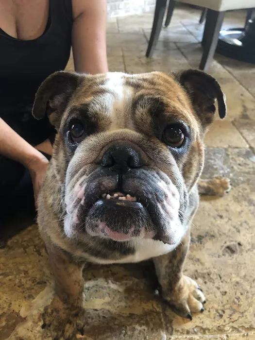 Caring Paws Animal Hospital Picture 5