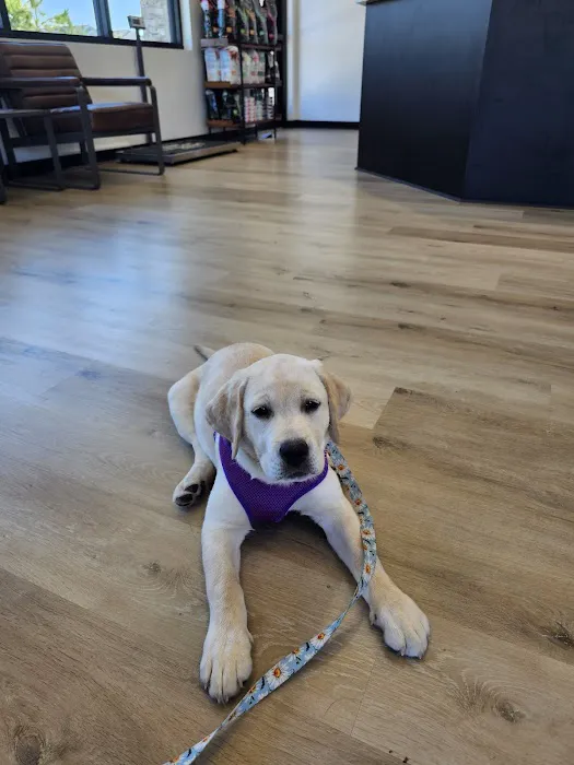 The Range Animal Hospital Picture 2