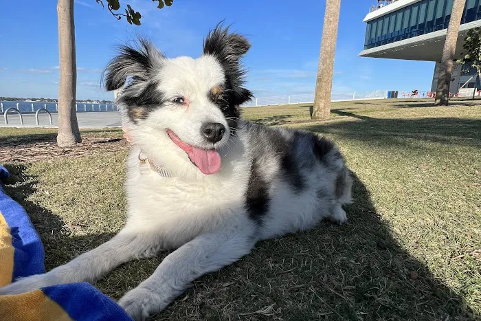 Noah's Ark Animal Hospital Picture 1