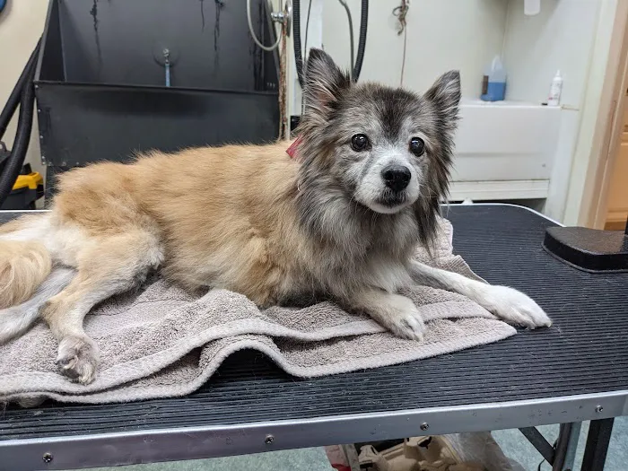 Noah's Ark Animal Hospital Picture 3