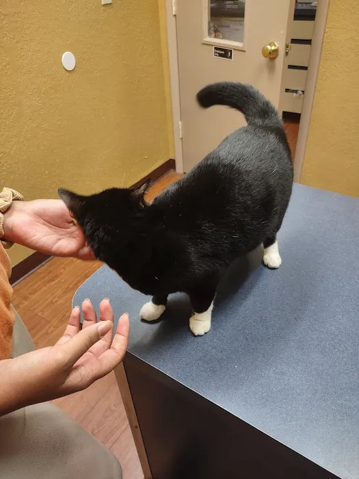 Noah's Ark Animal Hospital Picture 4