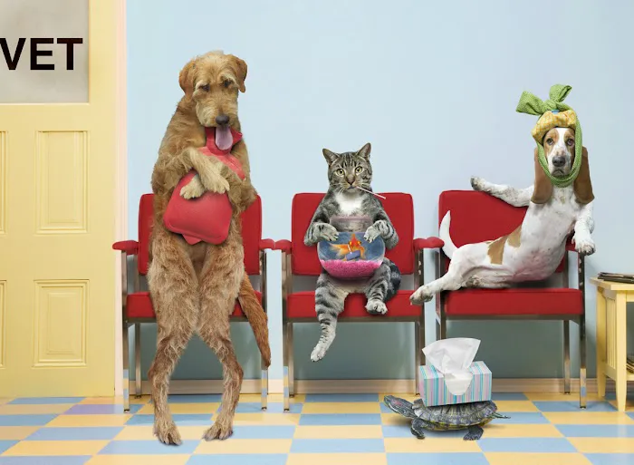 Noah's Ark Animal Hospital Picture 6