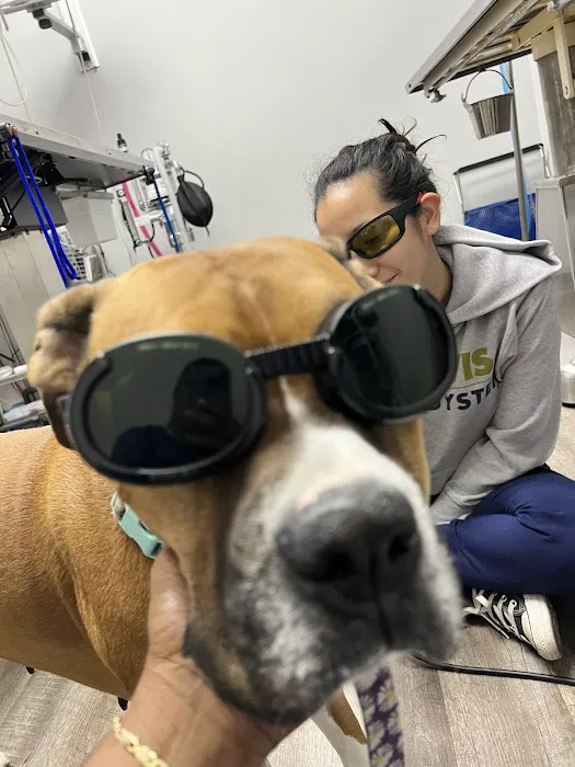 Riverview Veterinary Hospital Picture 3