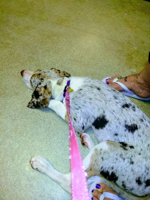 Riverview Veterinary Hospital Picture 7