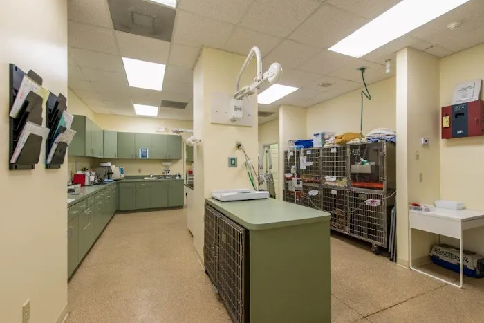 Four Paws Veterinary Hospital Picture 3