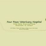 Four Paws Veterinary Hospital