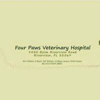 Four Paws Veterinary Hospital ico