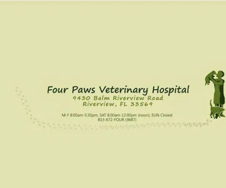 Four Paws Veterinary Hospital