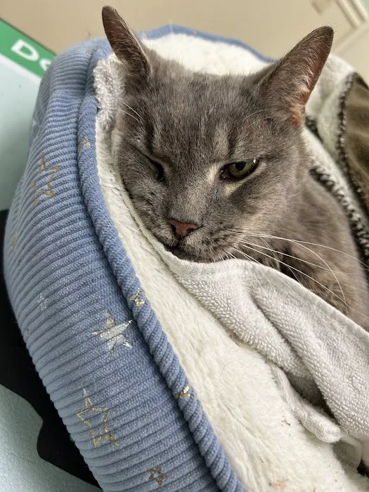 Four Paws Veterinary Hospital Picture 7