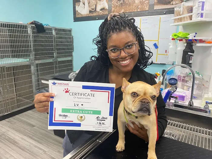 VetCheck Pet Urgent Care Center - Wesley Chapel Picture 4