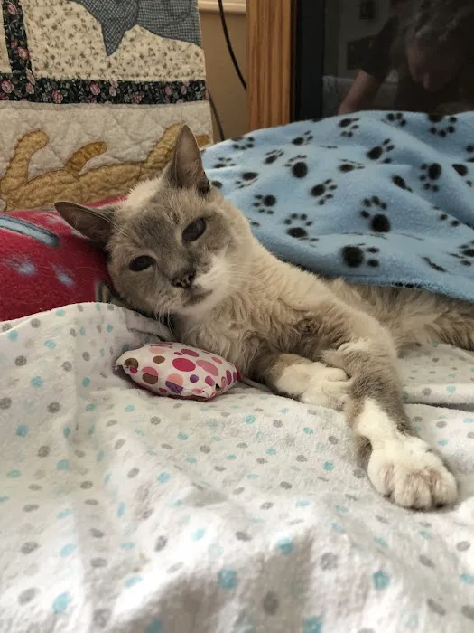 Claws & Paws Animal Hospital Picture 2