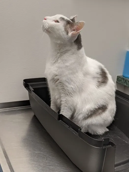Claws & Paws Animal Hospital Picture 6