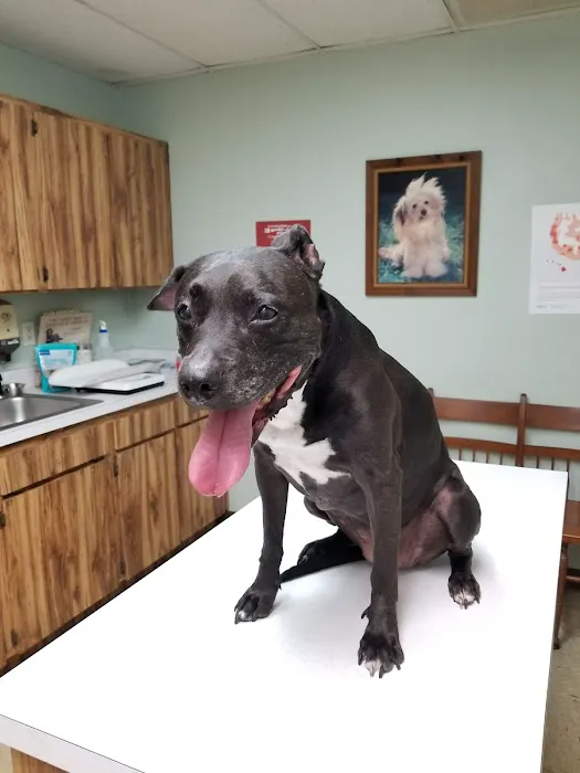 Adkins 301 Pet Hospital LLC Picture 4