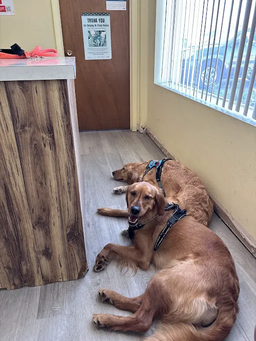 Adkins 301 Pet Hospital LLC Picture 9