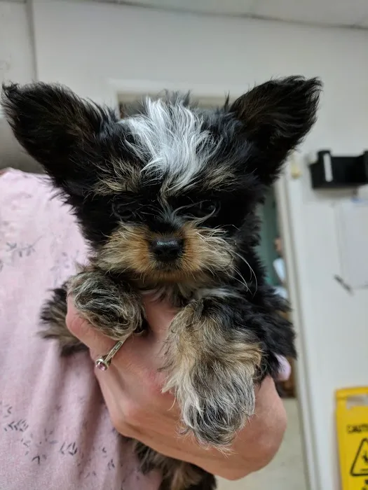 Adkins 301 Pet Hospital LLC Picture 10