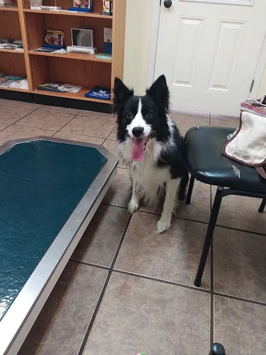 Zephyrhills Veterinary Clinic Picture 5