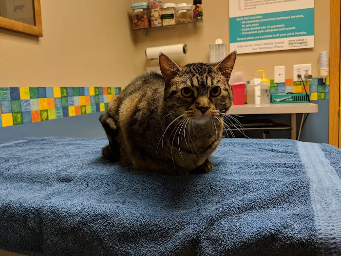 South Hyland Pet Hospital Picture 3