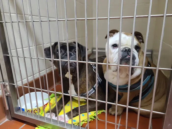 South Hyland Pet Hospital Picture 4