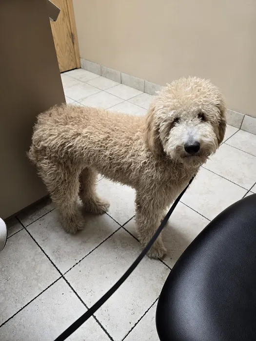 South Hyland Pet Hospital Picture 10