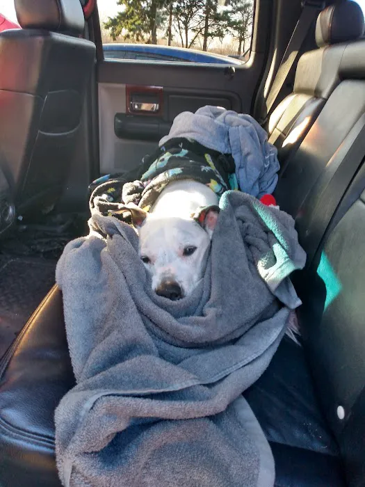 Mission Animal Hospital Picture 3