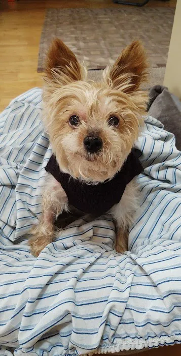 Mission Animal Hospital Picture 8