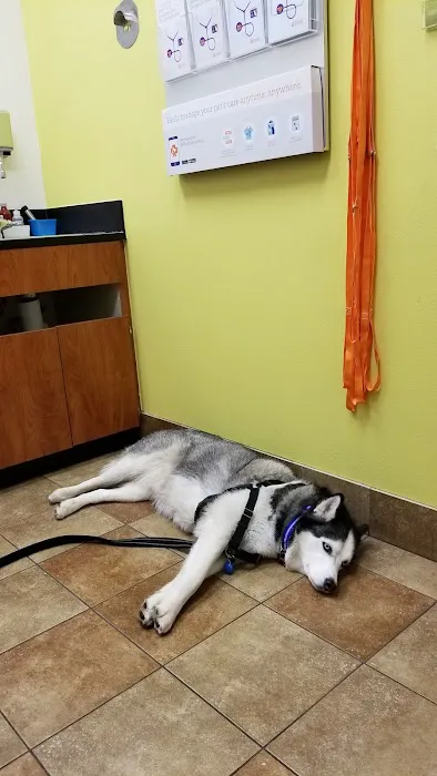Banfield Pet Hospital Picture 5