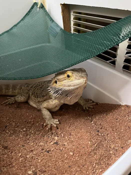 Bush Lake Pet Hospital Picture 1