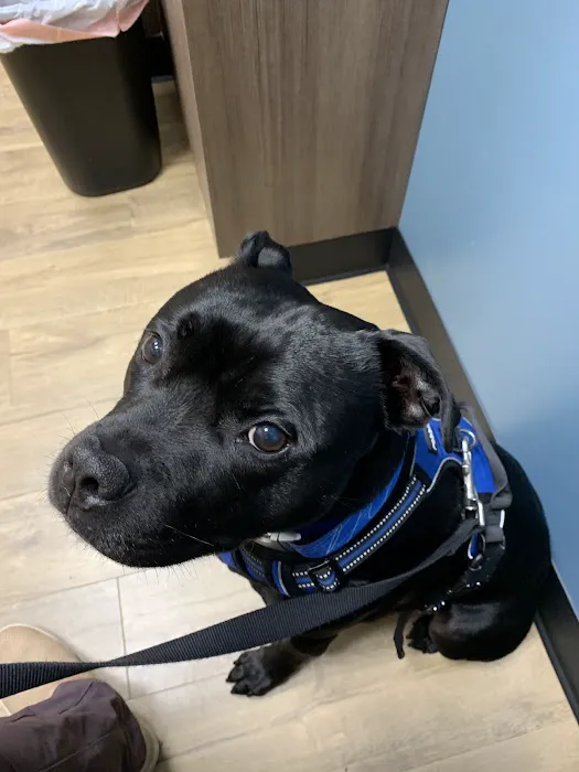 Bush Lake Pet Hospital Picture 10