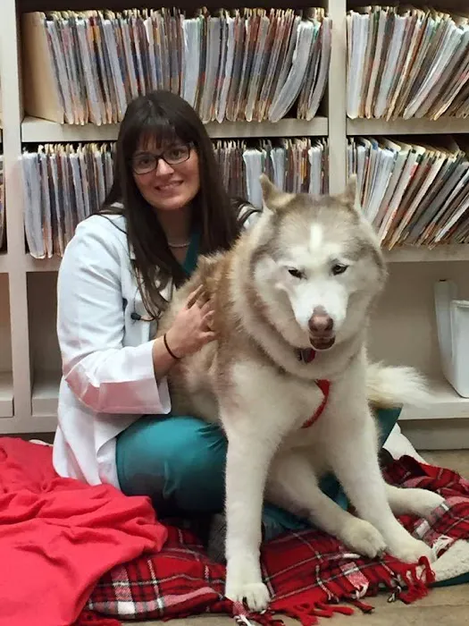 Pet Crossing Animal Hospital & Dental Clinic Picture 1
