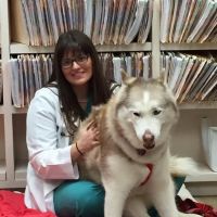 Pet Crossing Animal Hospital & Dental Clinic ico