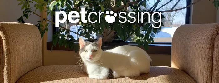Pet Crossing Animal Hospital & Dental Clinic Picture 2