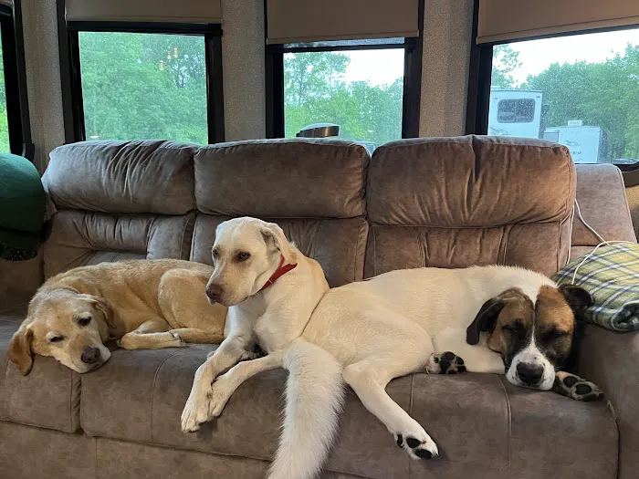 River Ridge Pet Clinic Picture 4
