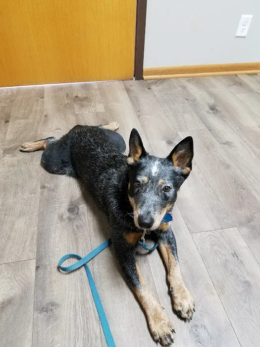 Burnsville Parkway Animal Hospital Picture 3