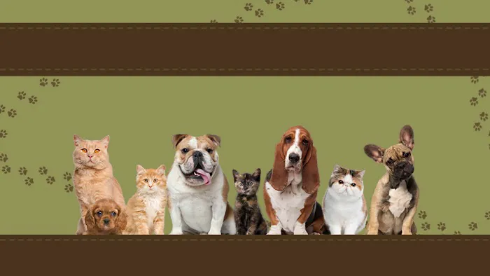 Burnsville Parkway Animal Hospital Picture 5