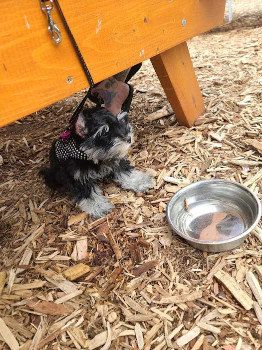 Smith Veterinary Hospital Picture 7