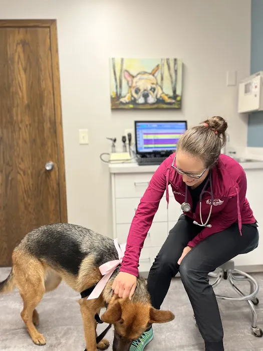 Elm Creek Animal Hospital Picture 6