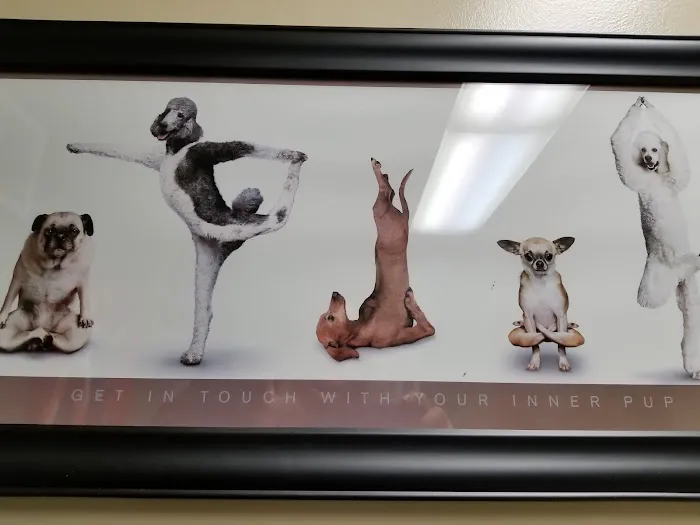 Elm Creek Animal Hospital Picture 7