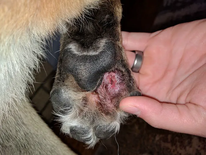 Elm Creek Animal Hospital Picture 8