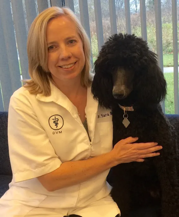 North St. Paul Animal Hospital Picture 6