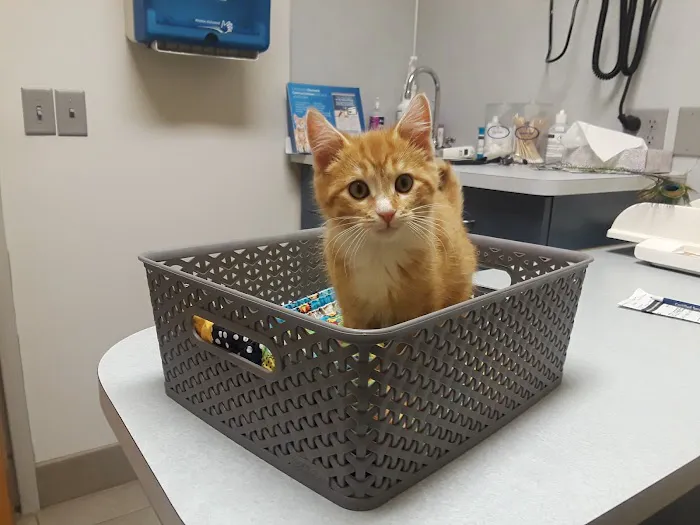 North St. Paul Animal Hospital Picture 1